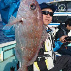 シードリーム 釣果