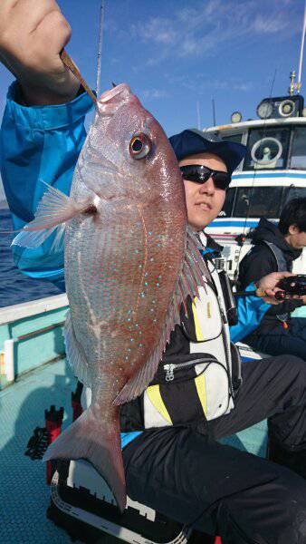 シードリーム 釣果