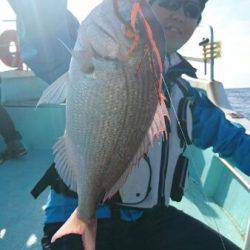 シードリーム 釣果