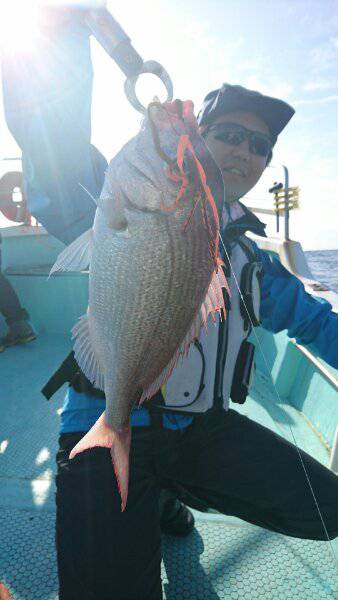 シードリーム 釣果