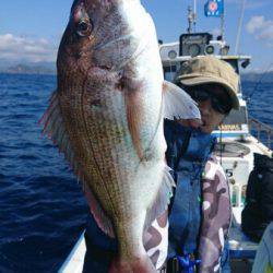 シードリーム 釣果