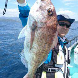 シードリーム 釣果