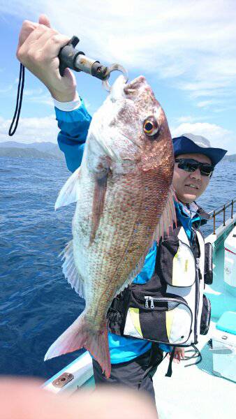 シードリーム 釣果