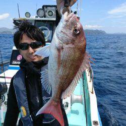 シードリーム 釣果