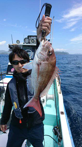 シードリーム 釣果