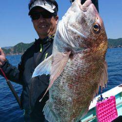 シードリーム 釣果