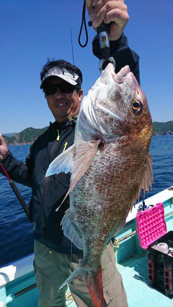 シードリーム 釣果