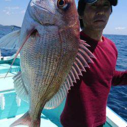 シードリーム 釣果