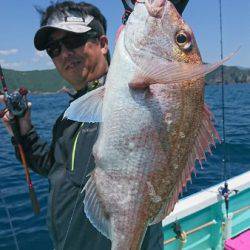 シードリーム 釣果