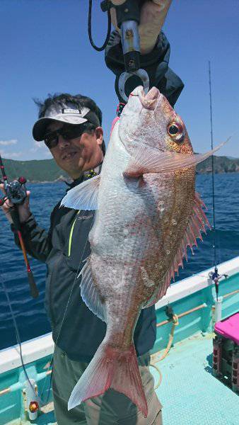 シードリーム 釣果