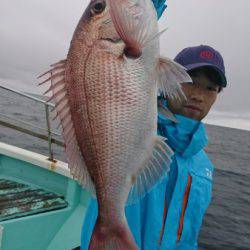 シードリーム 釣果