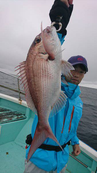 シードリーム 釣果