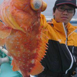 シードリーム 釣果