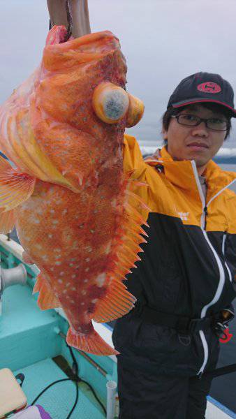 シードリーム 釣果