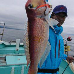 シードリーム 釣果