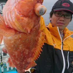 シードリーム 釣果