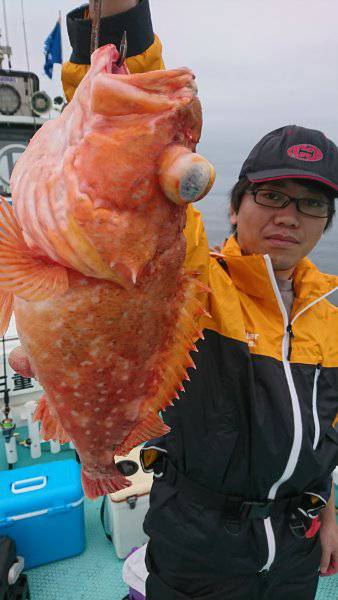 シードリーム 釣果