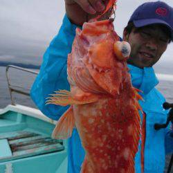 シードリーム 釣果