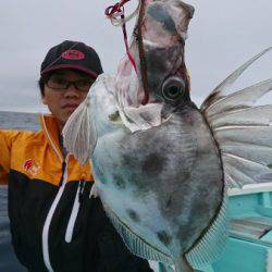 シードリーム 釣果