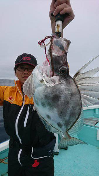 シードリーム 釣果