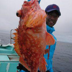 シードリーム 釣果