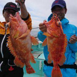 シードリーム 釣果