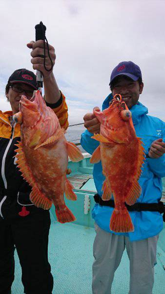 シードリーム 釣果