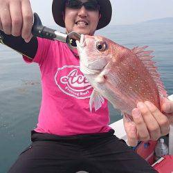 フィッシングボートACE(エース) 釣果