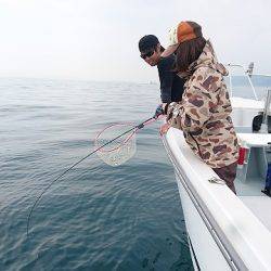 フィッシングボートACE(エース) 釣果