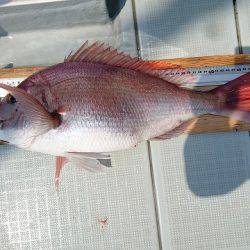 フィッシングボートACE(エース) 釣果