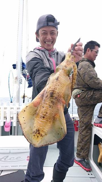 フィッシングボートACE（エース） 釣果