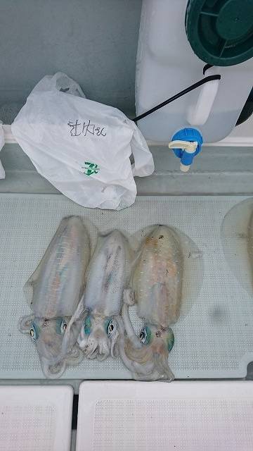 フィッシングボートACE（エース） 釣果