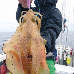 フィッシングボートACE(エース) 釣果