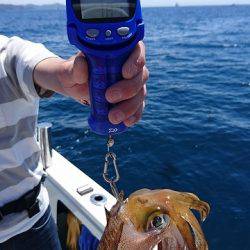 フィッシングボートACE(エース) 釣果