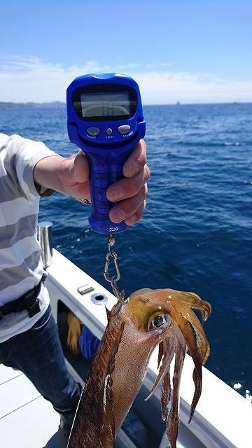 フィッシングボートACE(エース) 釣果