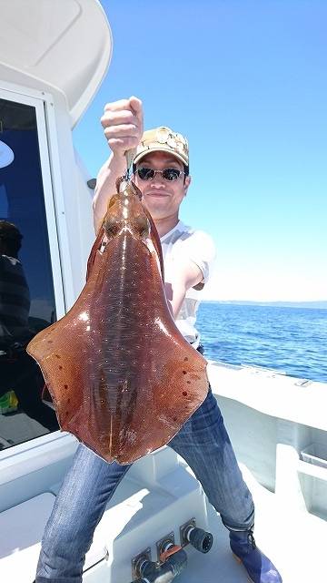 フィッシングボートACE(エース) 釣果