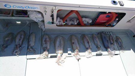 フィッシングボートACE(エース) 釣果