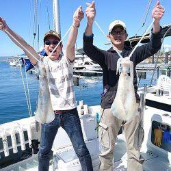 フィッシングボートACE(エース) 釣果