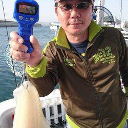 フィッシングボートACE（エース） 釣果