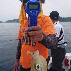 フィッシングボートACE(エース) 釣果