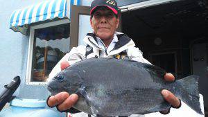 伊豆下田フィッシング 釣果