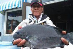 伊豆下田フィッシング 釣果