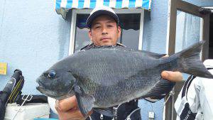 伊豆下田フィッシング 釣果