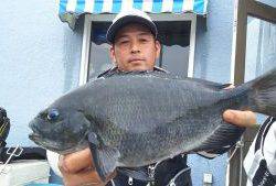 伊豆下田フィッシング 釣果