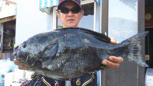 伊豆下田フィッシング 釣果