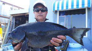 伊豆下田フィッシング 釣果