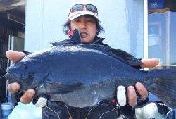 伊豆下田フィッシング 釣果