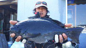 伊豆下田フィッシング 釣果