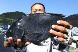 伊豆下田フィッシング 釣果