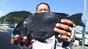 伊豆下田フィッシング 釣果